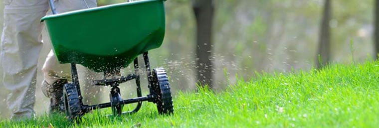 The Grass Outlet | Fertilization