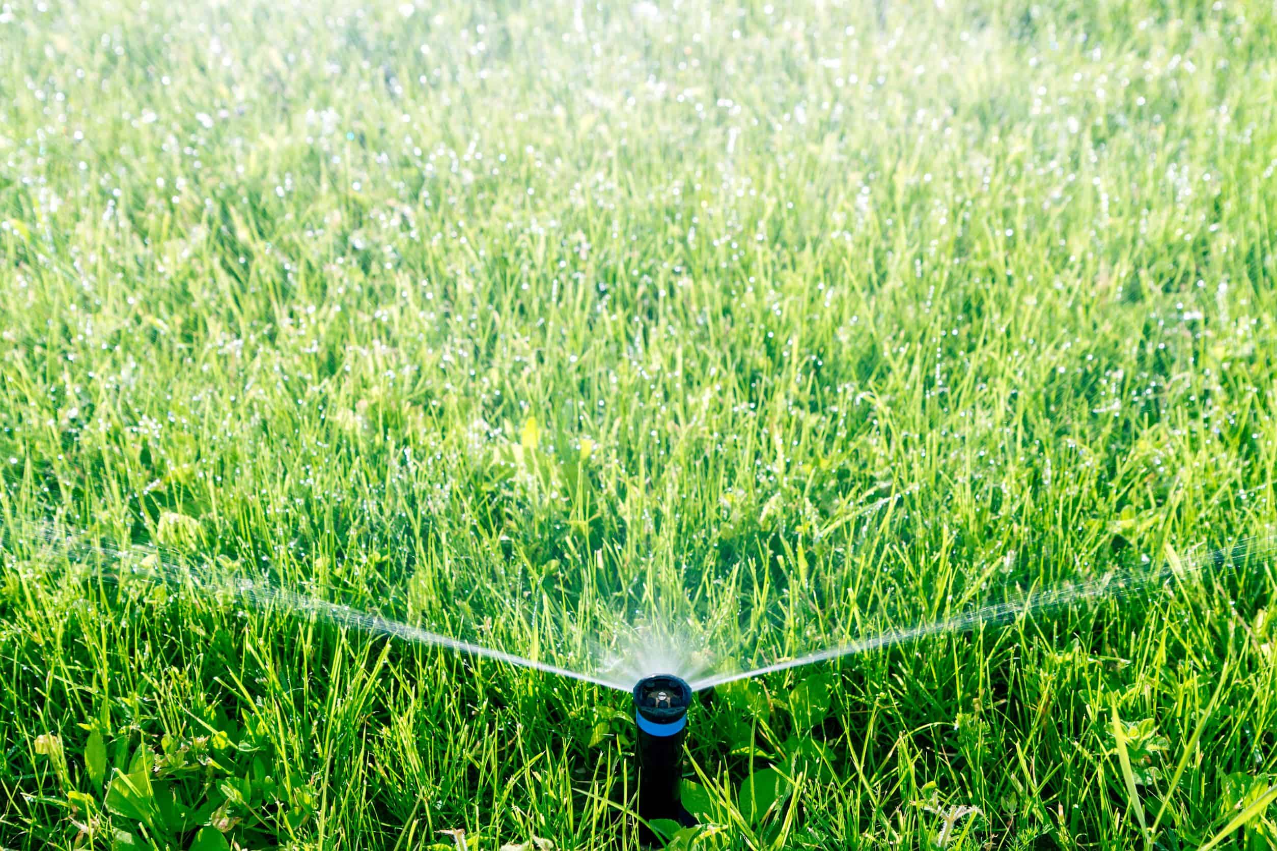 automatic sprinkler watering grass