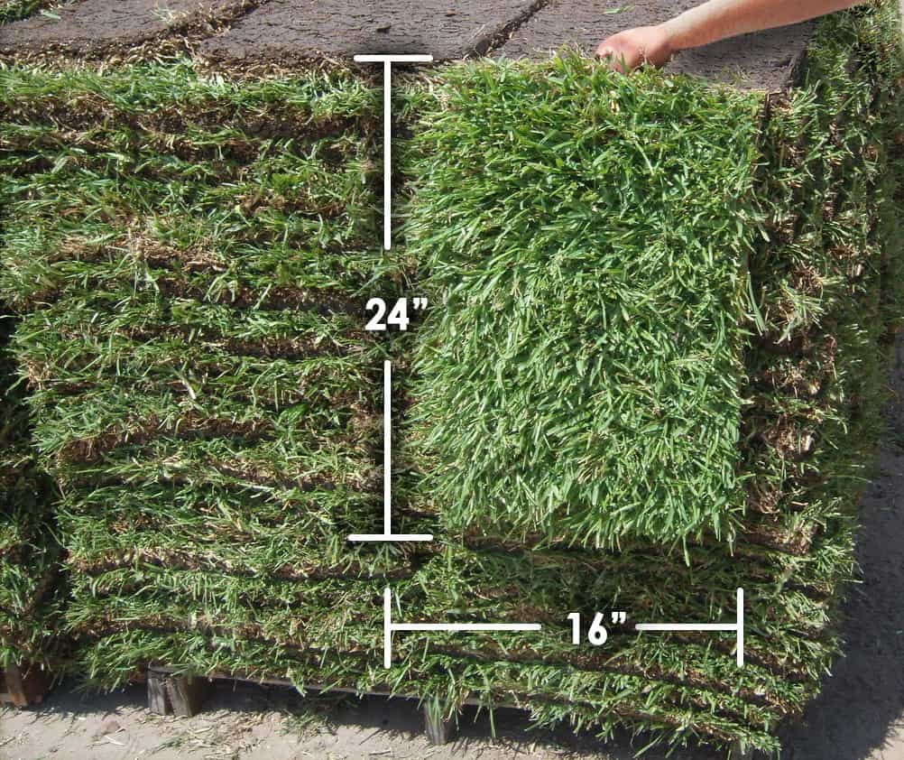 How Much Does a Pallet of Sod Weigh | The Grass Outlet | Texas