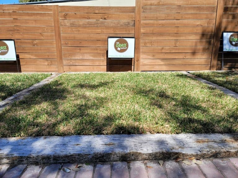 The Grass Outlet Sod Grass for Austin, Dallas, Houston, San Antonio