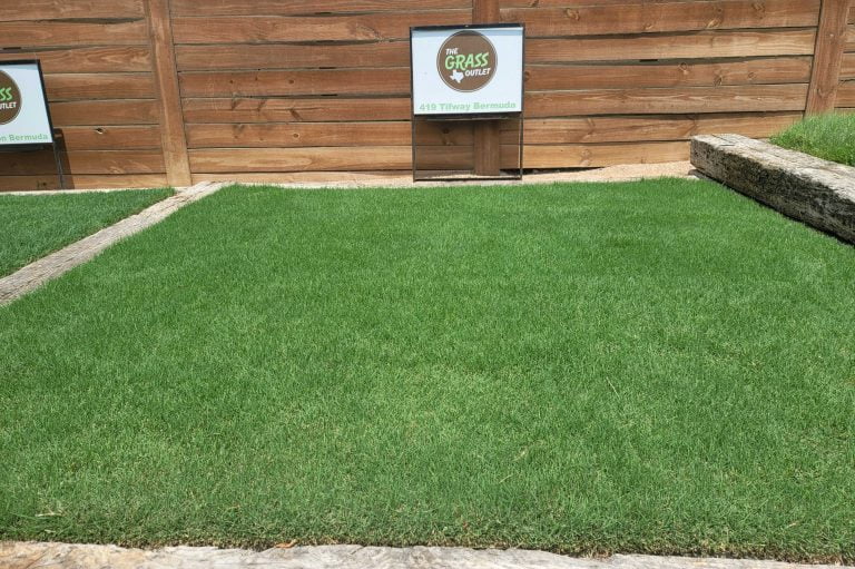 The Grass Outlet Sod Grass for Austin, Dallas, Houston, San Antonio