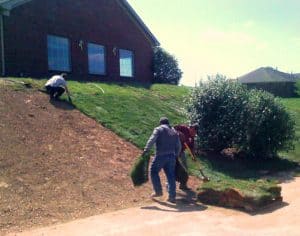 people laying sod on a hill