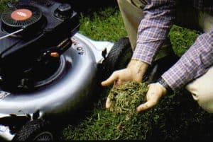 grass clippings next to a lawnmower