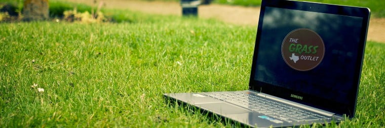 Laptop in grass