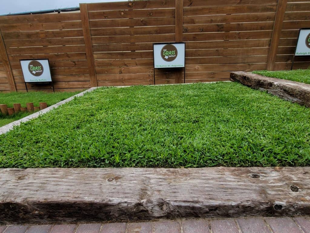 The Grass Outlet Sod Grass for Austin, Dallas, Houston, San Antonio