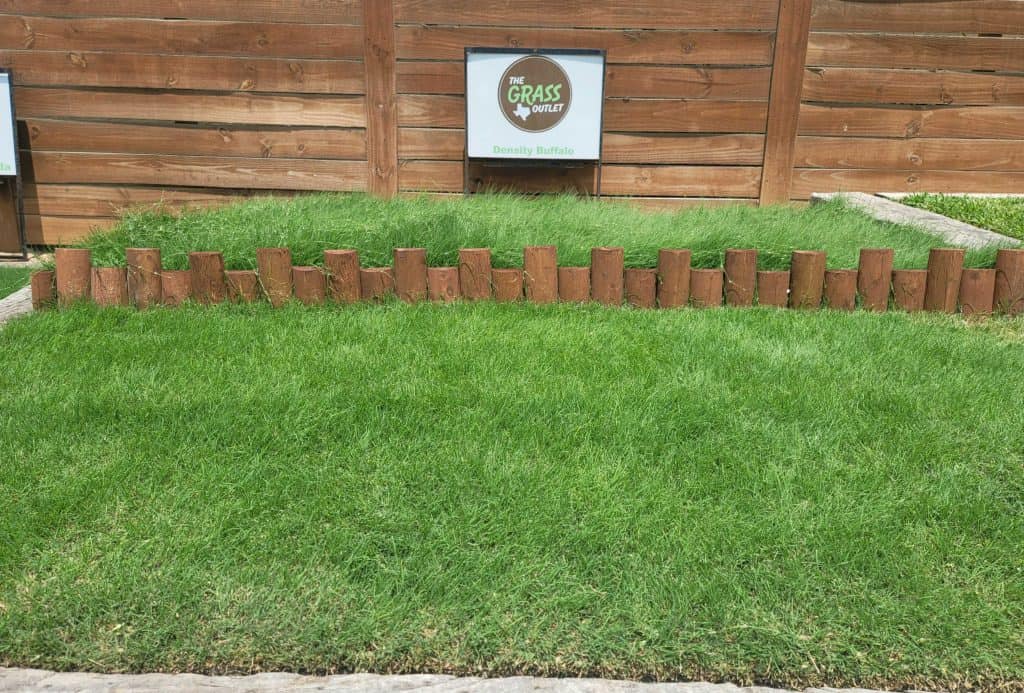 The Grass Outlet Sod Grass for Austin, Dallas, Houston, San Antonio