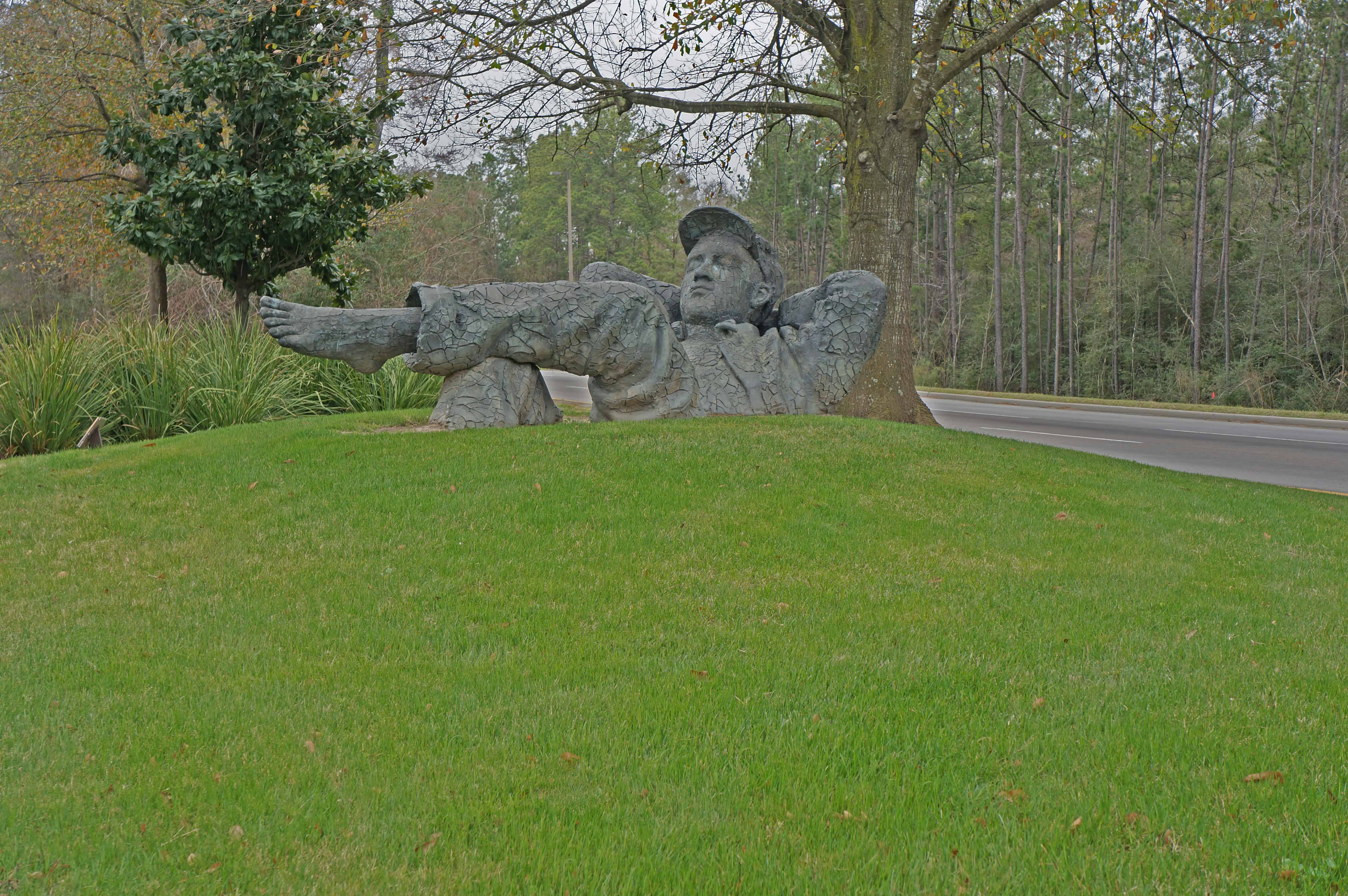 Grass For In The Woodlands Outlet