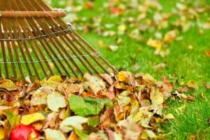 wooden rake with leaves