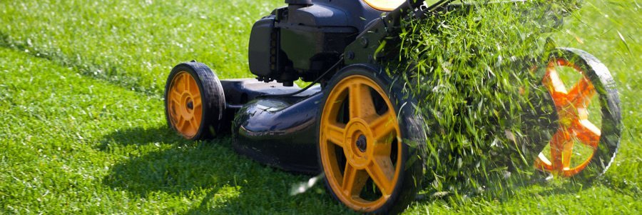 common lawn care mistakes
