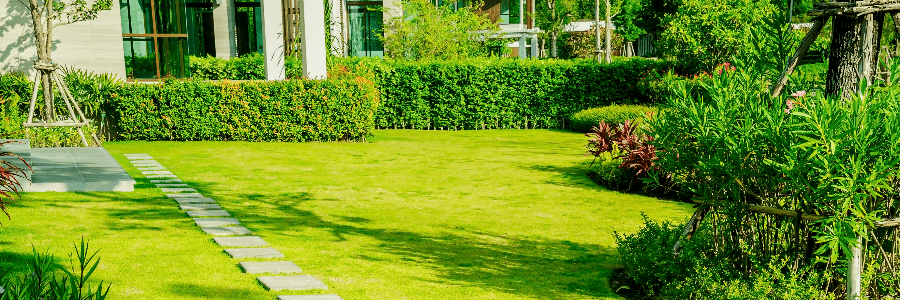 pathway lawn, clean lawn 