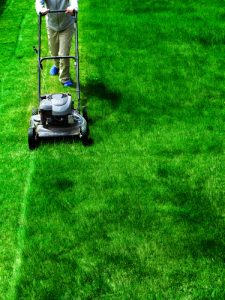 lawn being mowed