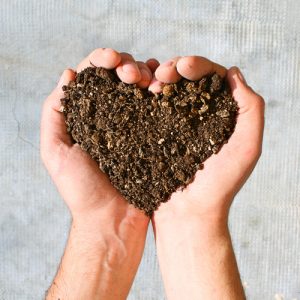 heart of dirt