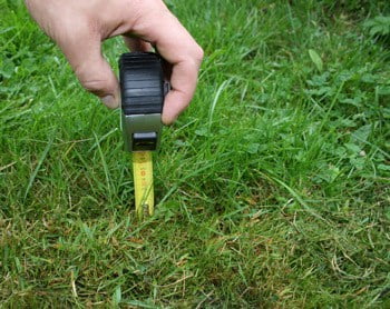measuring-grass-with-a-measuring-tape