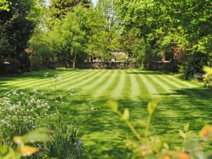 automatic sprinkler watering grass