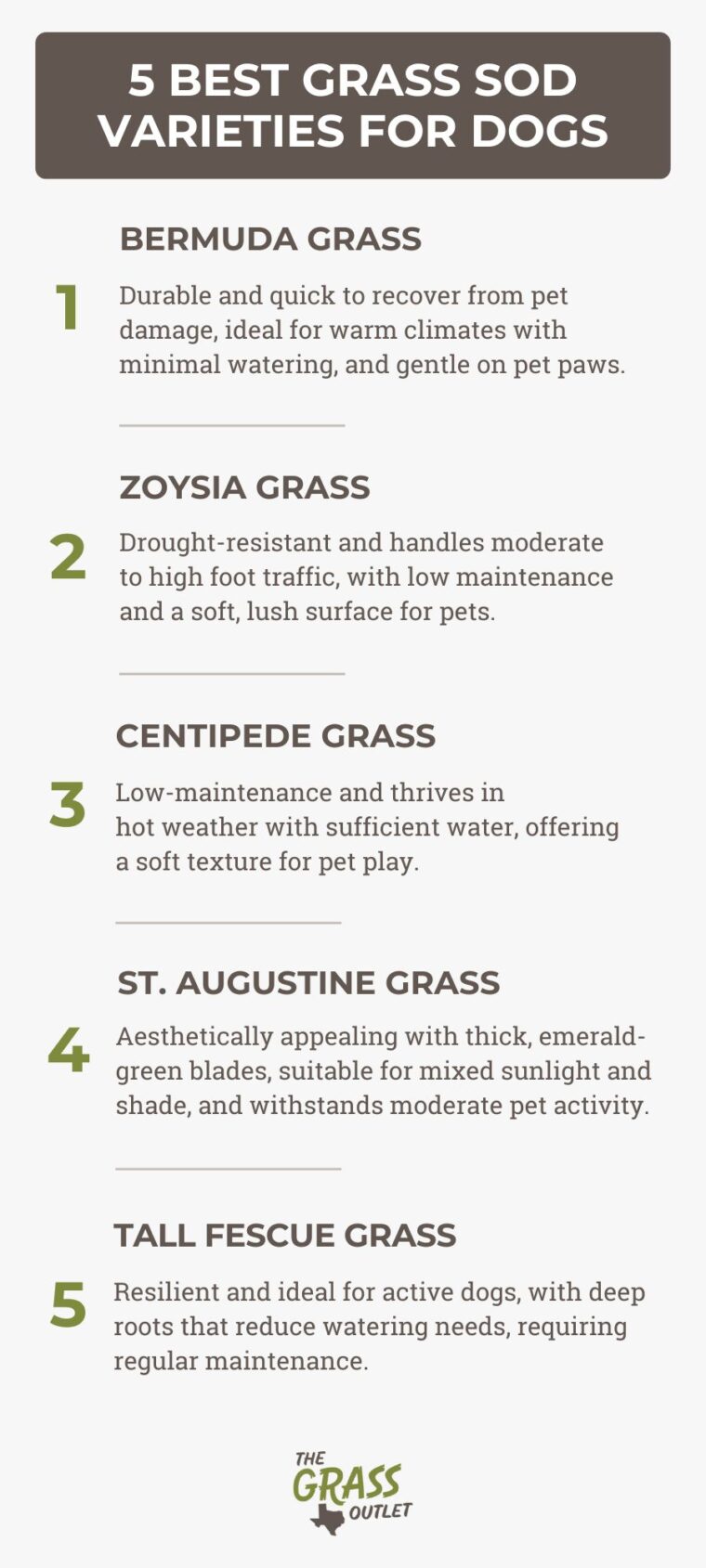 What S The Best Grass For Dogs