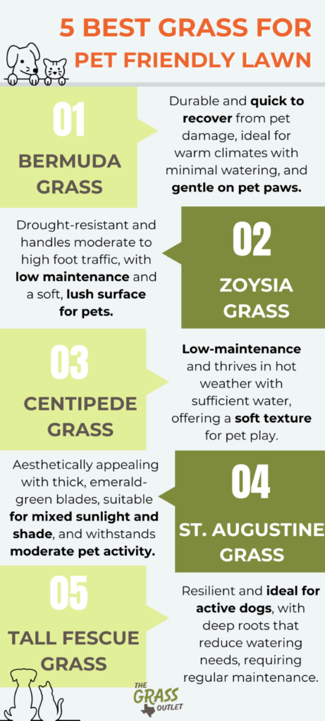 visual showing best grass types for a pet friendly lawn