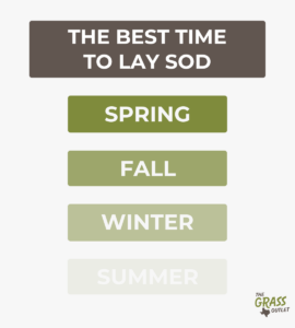 Best Time to Lay Sod