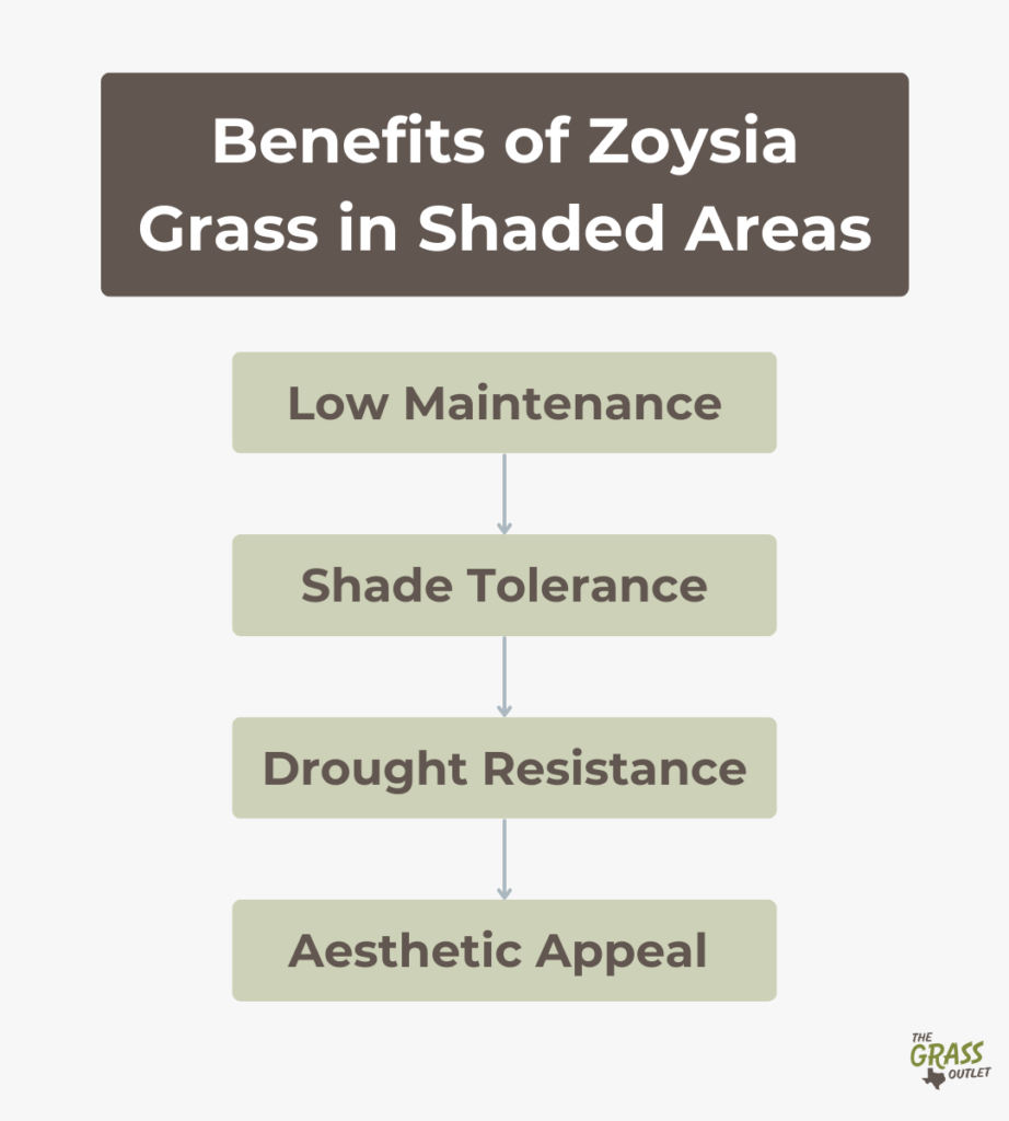 Benefits of Zoysia Grass in Shaded Areas