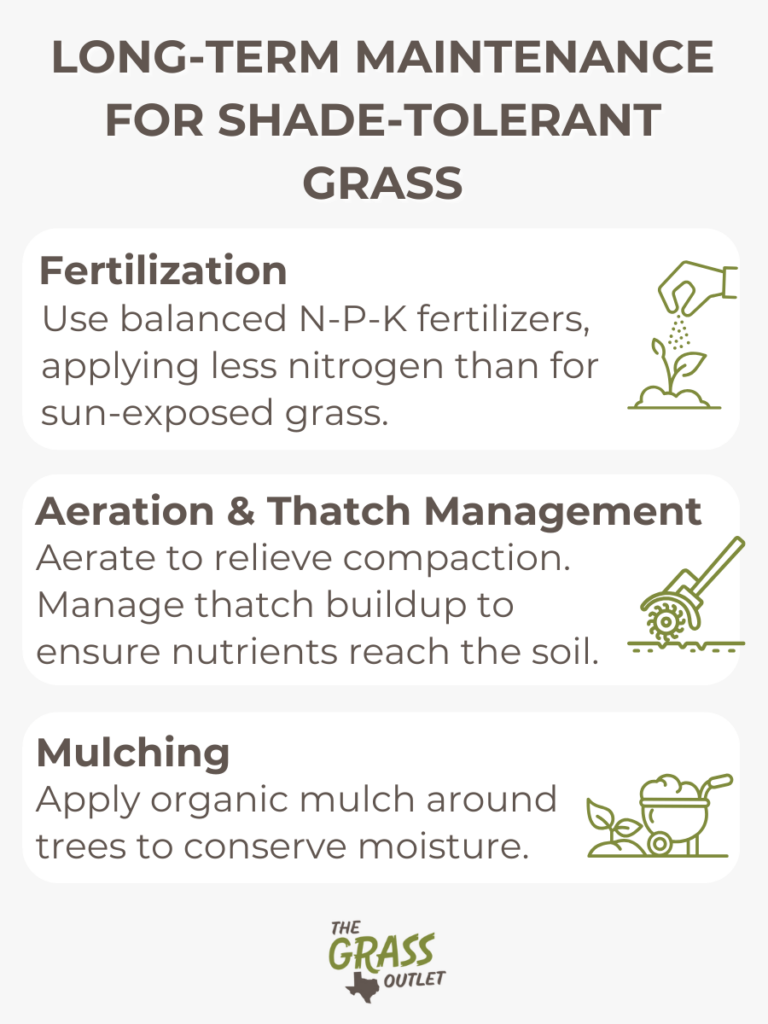 Long term maintenance for shade-tolerant grass