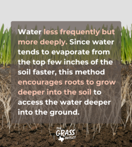 Best practice for watering water less frequently but more deeply