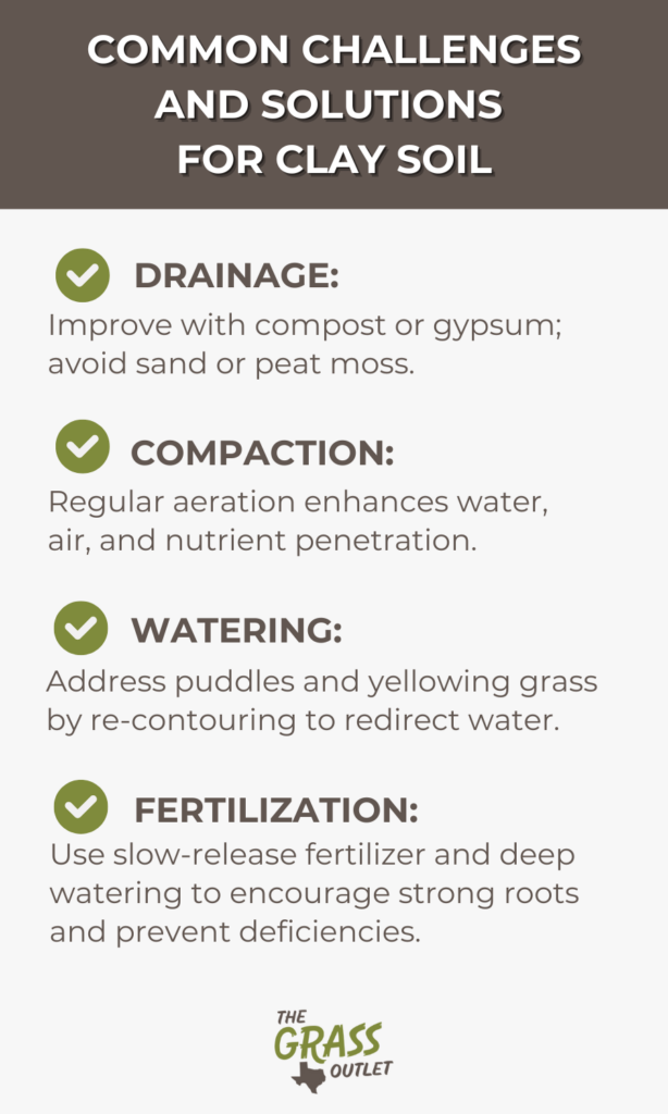 Common challenges and solutions for clay soil