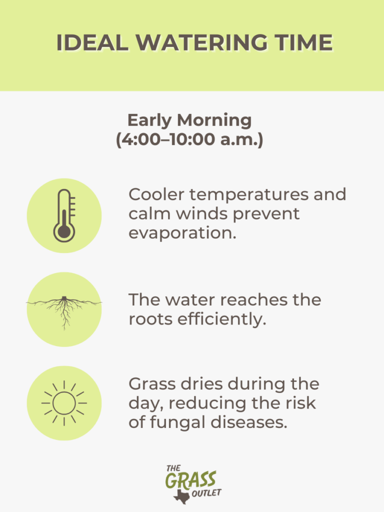 Ideal Watering Time