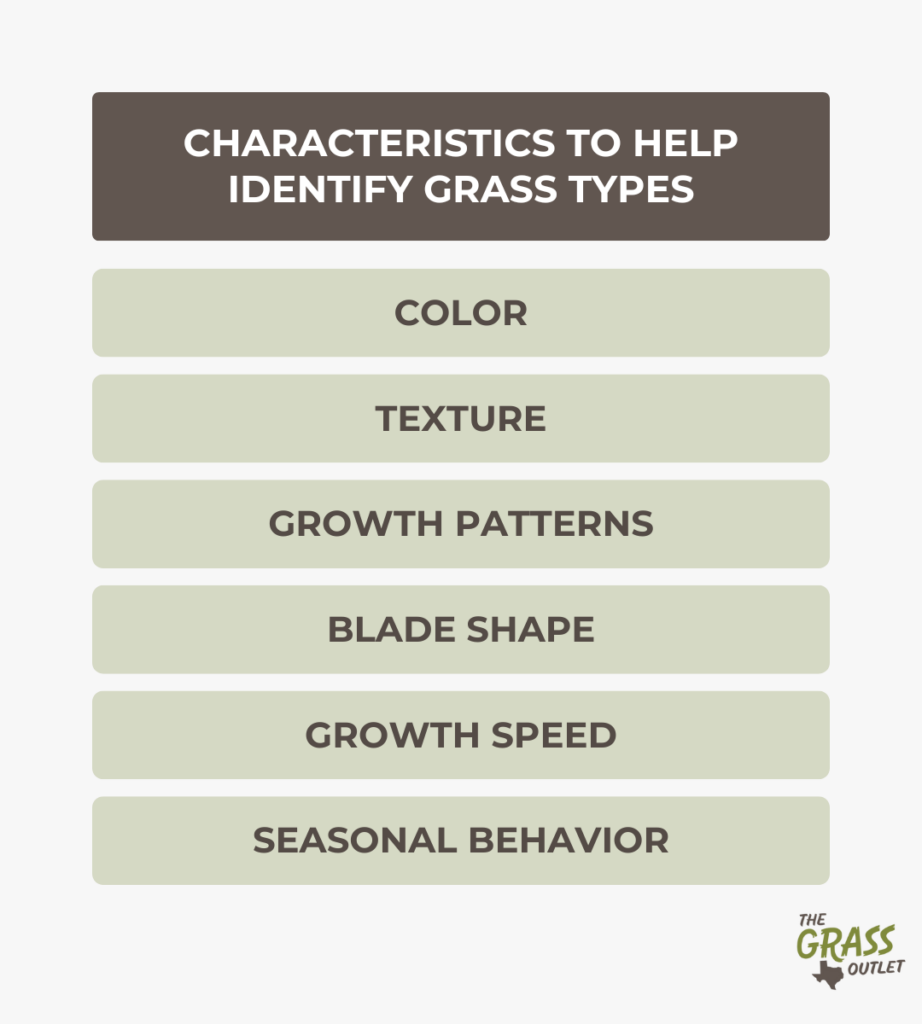 Characteristics to help identify grass types