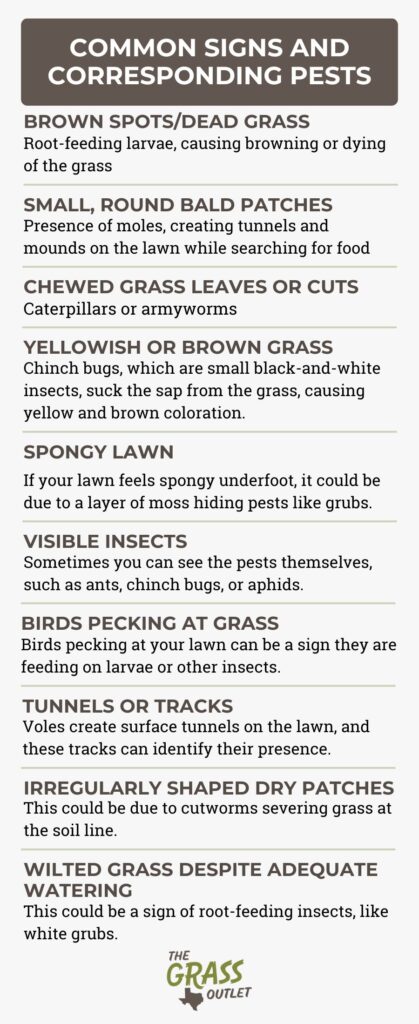 Common signs and corresponding pests