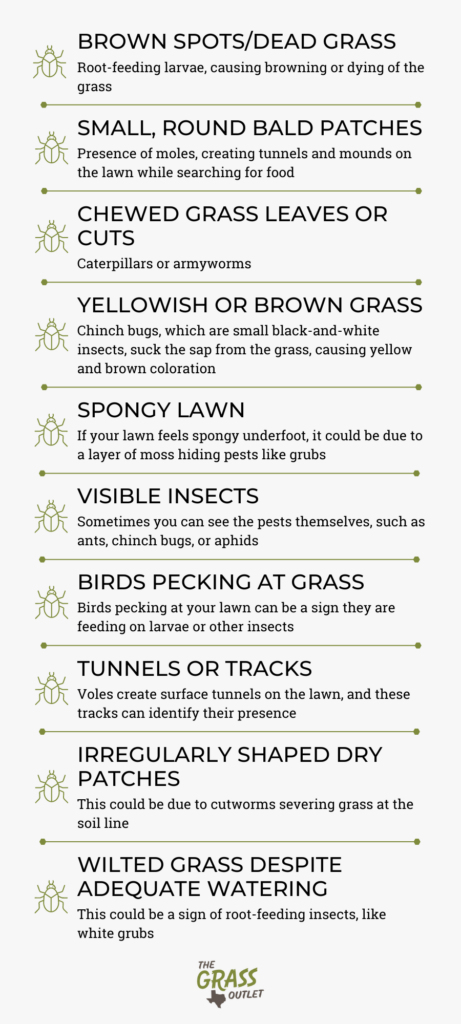 Common signs and corresponding pests
