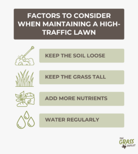 Factors to consider in high-traffic lawn maintenance