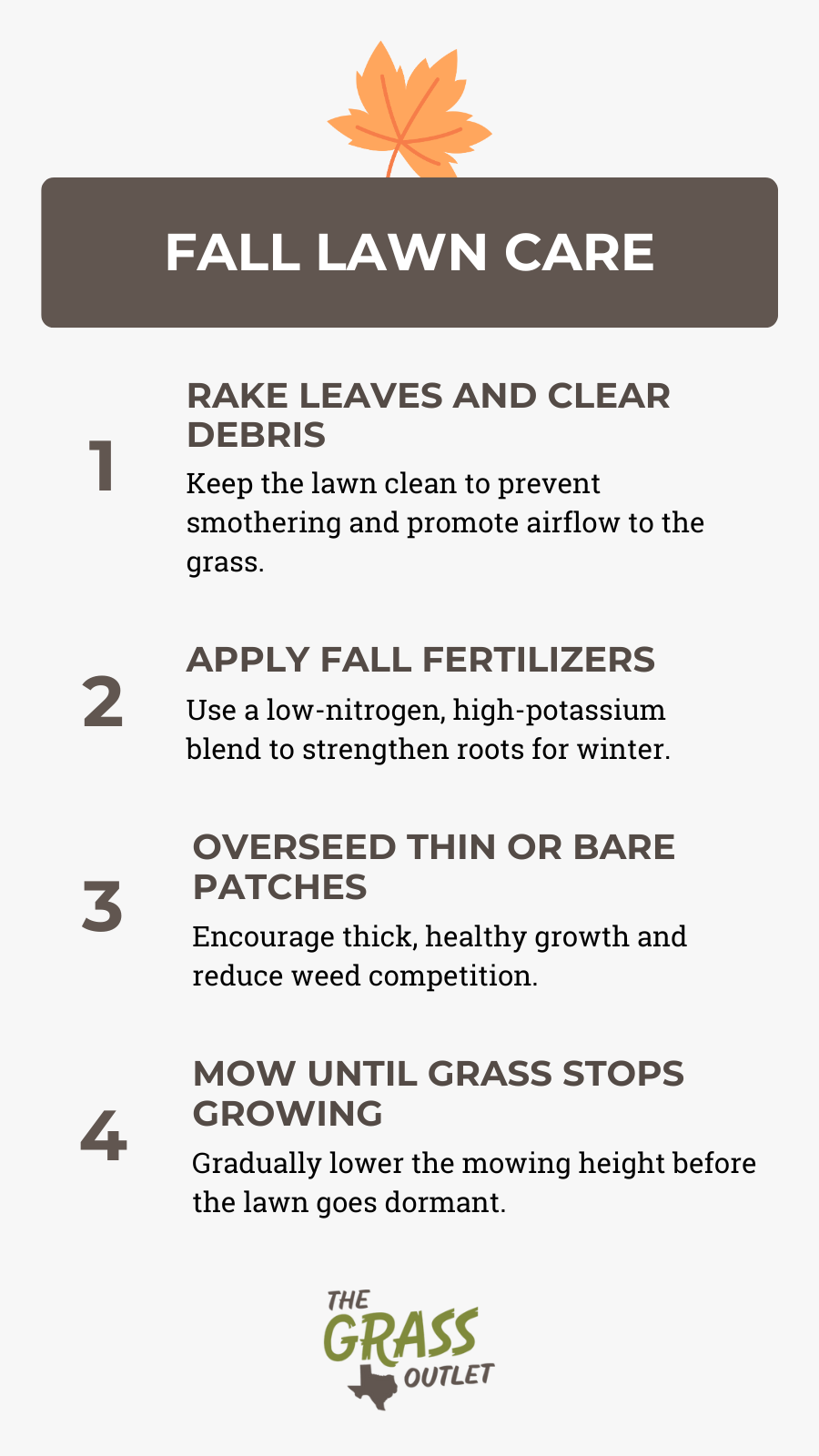 Visual showing lawn care tips for fall season