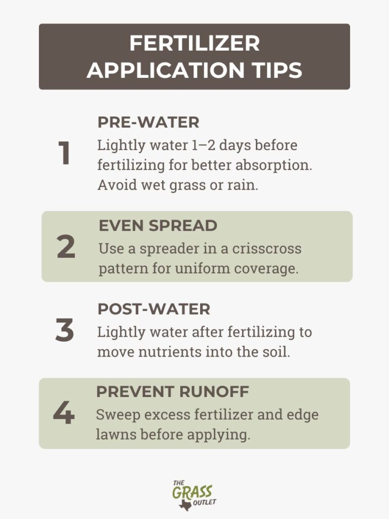 When to Fertilize Your Lawn in Texas: A Seasonal Guide for Healthy ...