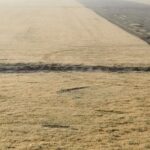 Field of dormant grass