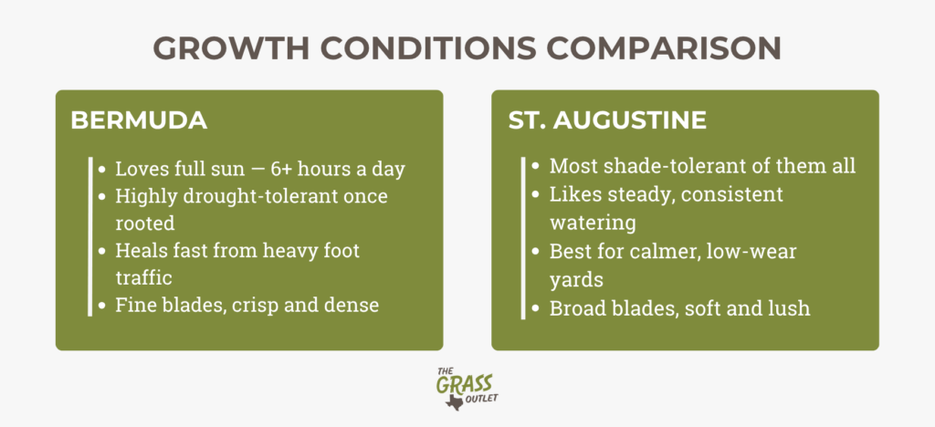 List of characteristics for Bermuda and St. Augustine grass