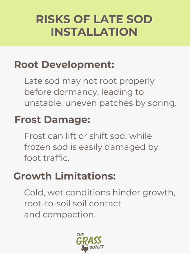 Risks of Late Sod Installation