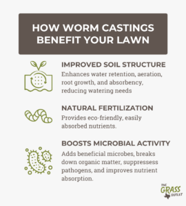 Nutrient composition of worm castings