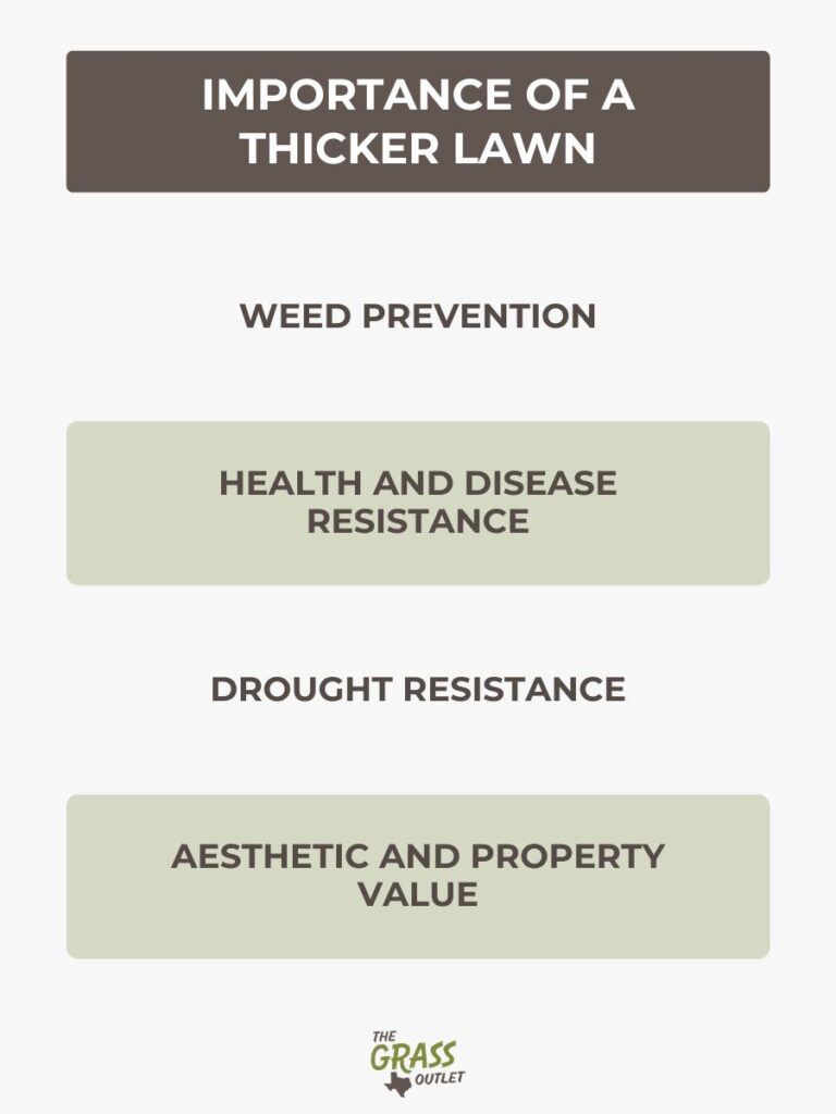 Importance of a thicker lawn