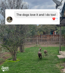Satisfied customer sent us photo of her dogs with message