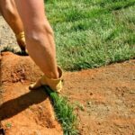 Laying sod in Texas