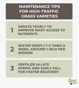 Maintenance tips for high-traffic grass