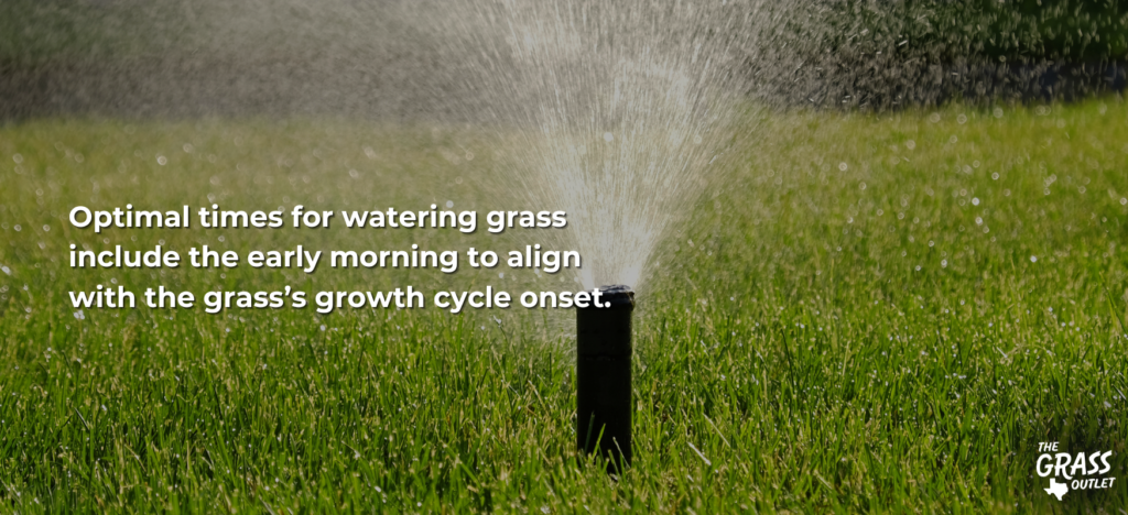 Optimal times for watering grass