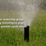 Optimal times for watering grass