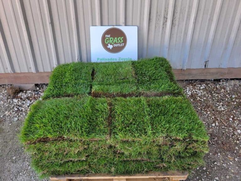Grass for Sale Near Me – Get the Best Quality at Your Doorstep!