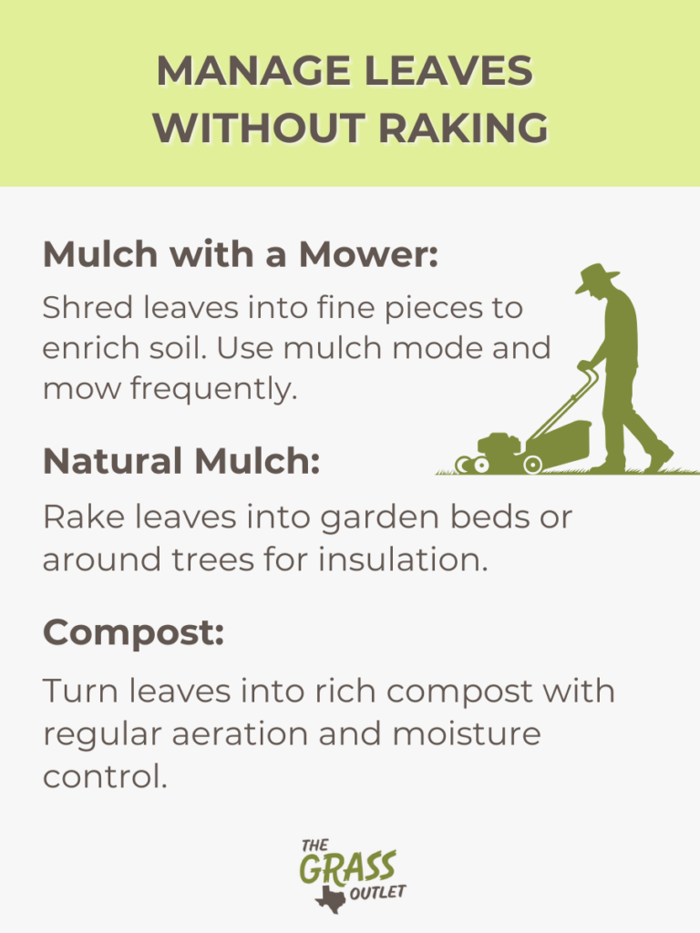 Manage Leaves Without Raking