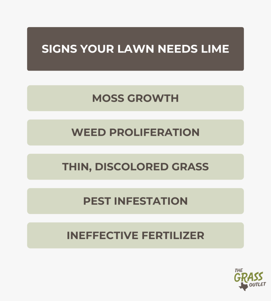 Signs your lawn needs lime