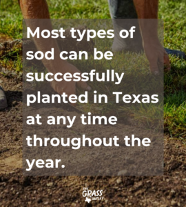 Sod can be installed at any time throughout the year