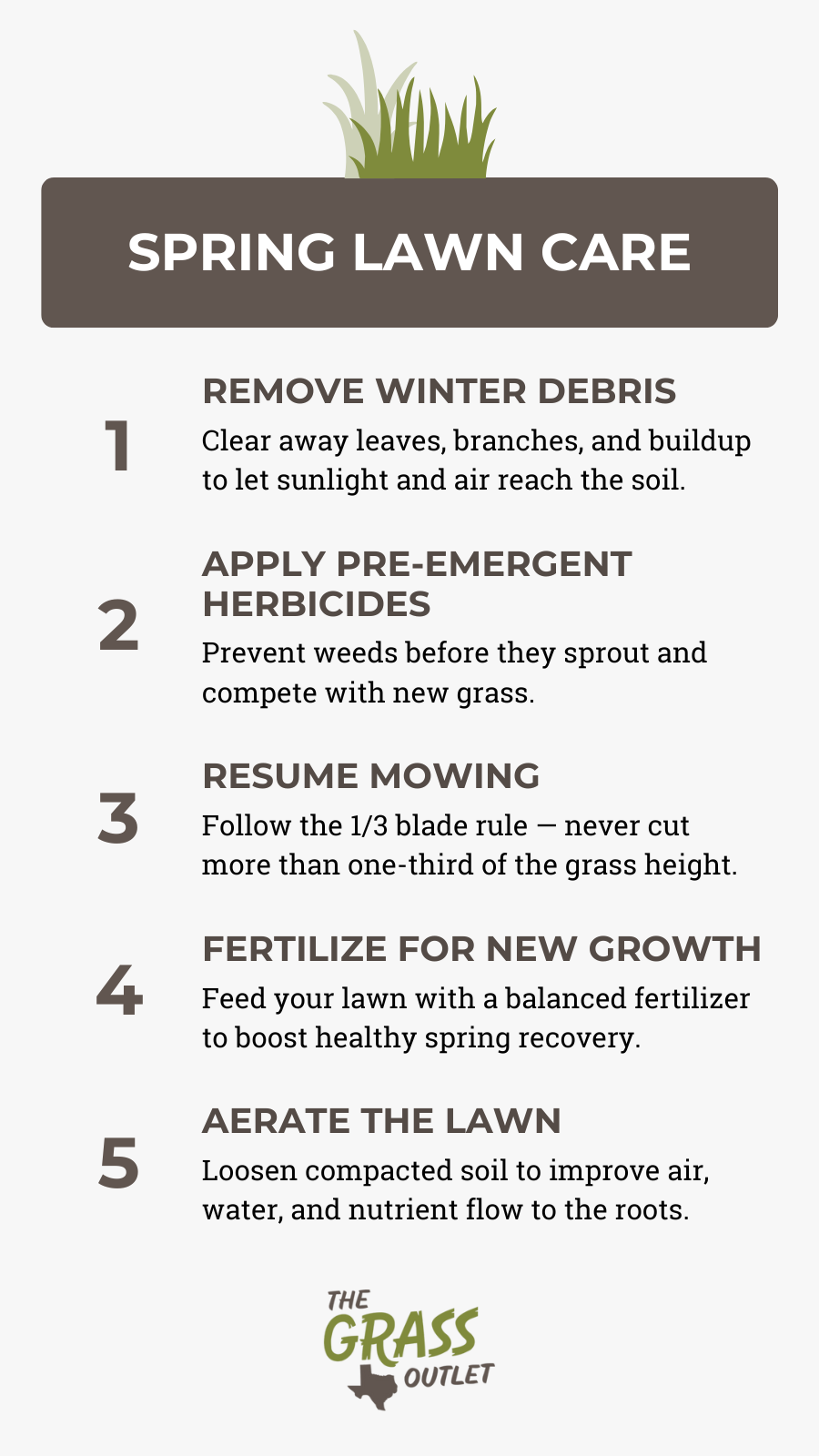 Visual showing lawn care tips for spring season