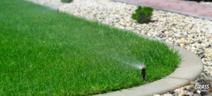 Sprinkler watering lawn