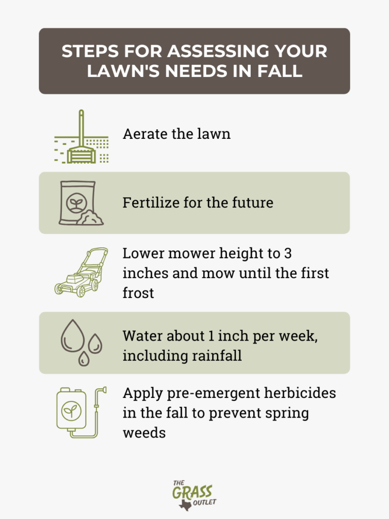 Steps for assessing your lawn's needs in fall