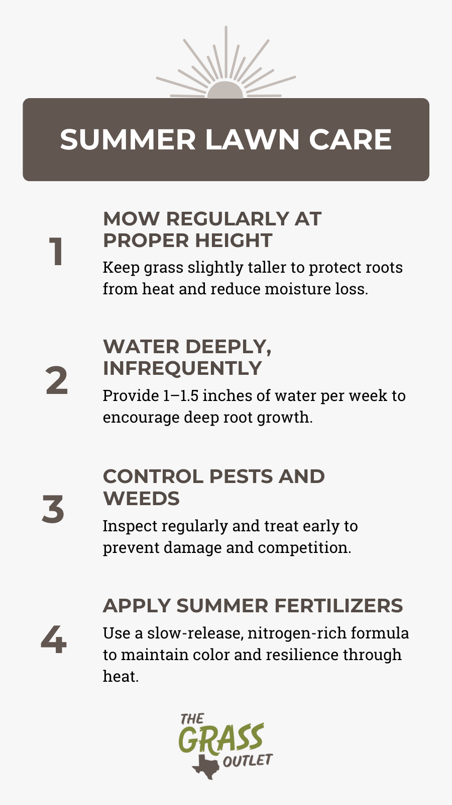 Visual showing lawn care tips for summer season